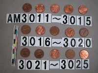 藏品(美國1分硬幣)的圖片